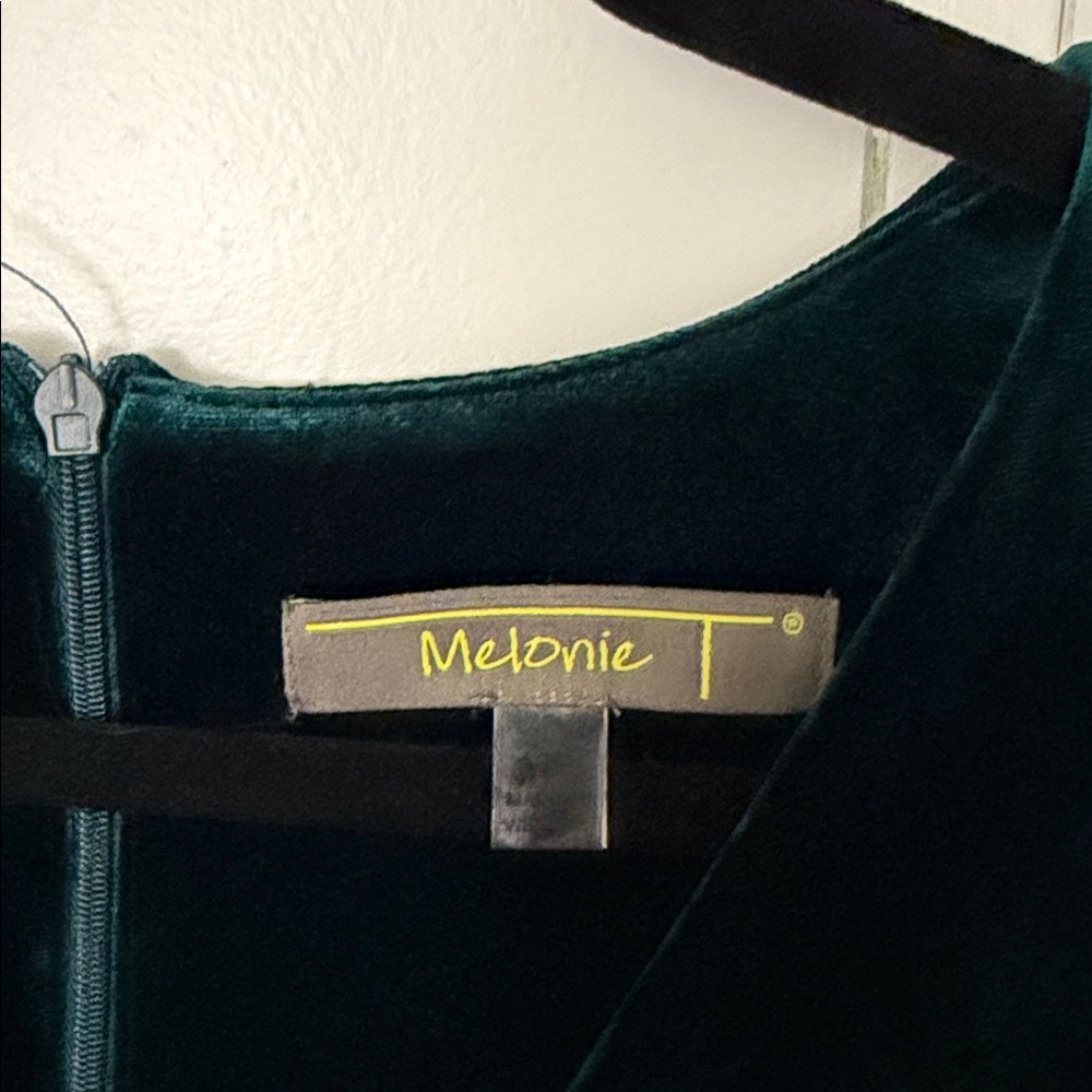 Melonie T Velvet Dress, Size 16P - Picture 5 of 7